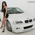 big_11ca160f4e86fe33
